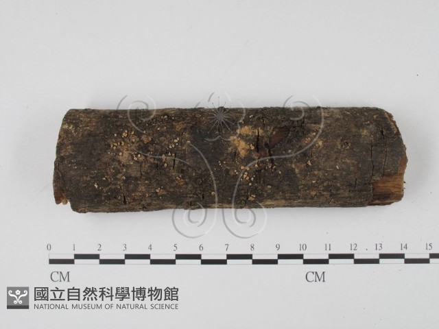 登錄號:F0003073藏品圖，第1張