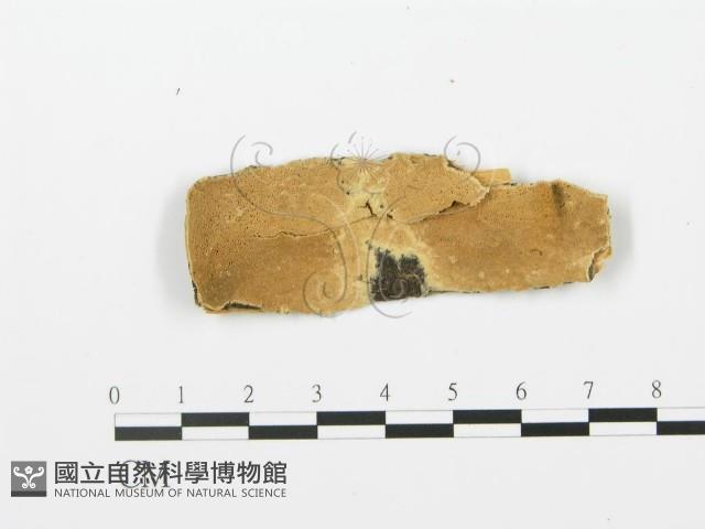 登錄號:F0006373藏品圖，第1張