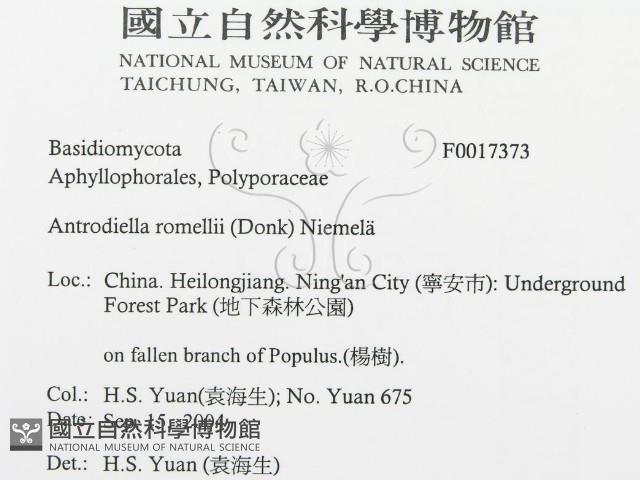 登錄號:F0017373藏品圖，第3張