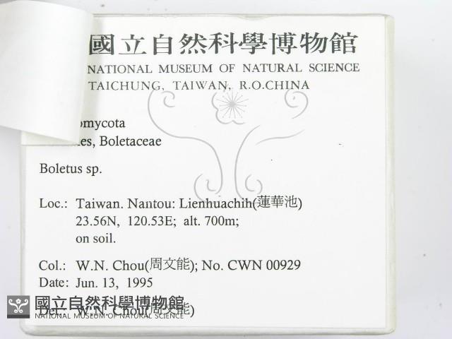 登錄號:F0003373藏品圖，第3張