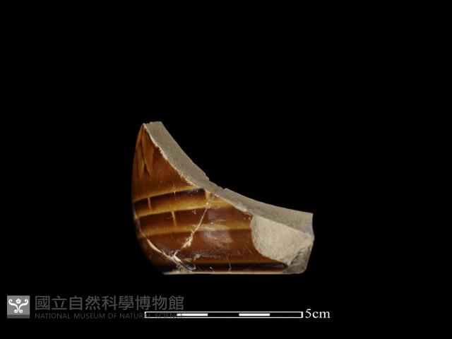 陶罐藏品圖，第2張