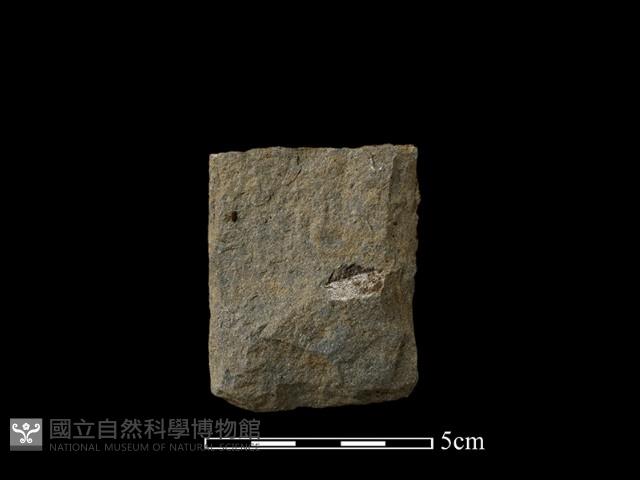 斧鋤形器藏品圖，第1張