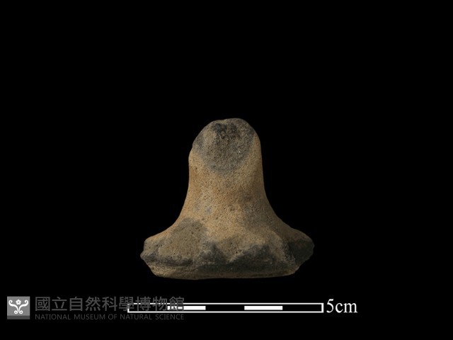 陶蓋鈕藏品圖，第1張