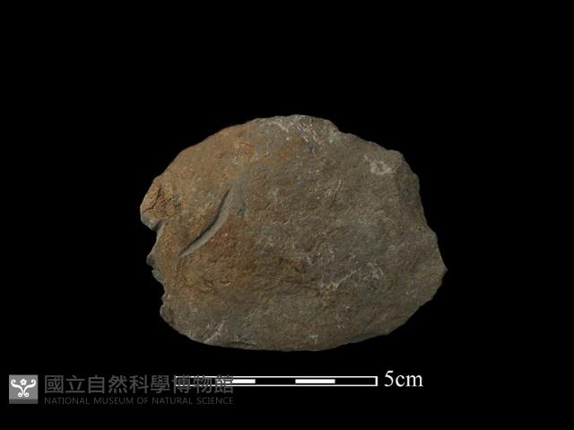 石片器藏品圖，第1張