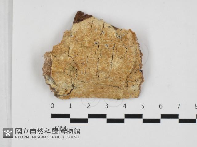 登錄號:F0032872藏品圖，第1張