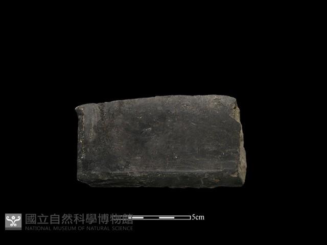 瓦片藏品圖，第1張