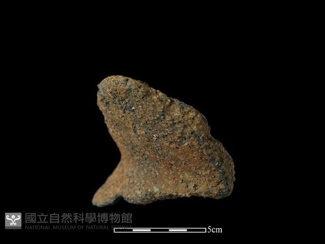 陶罐藏品圖，第2張