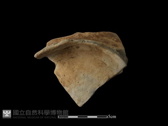 陶罐藏品圖，第1張