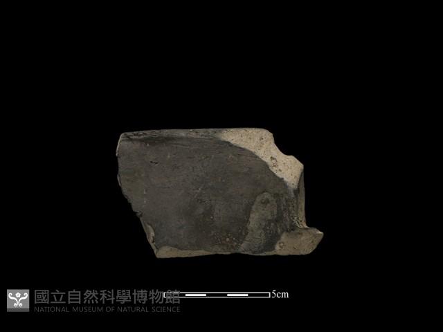 瓦片藏品圖，第1張