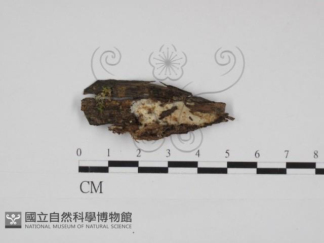 登錄號:F0030973藏品圖，第1張