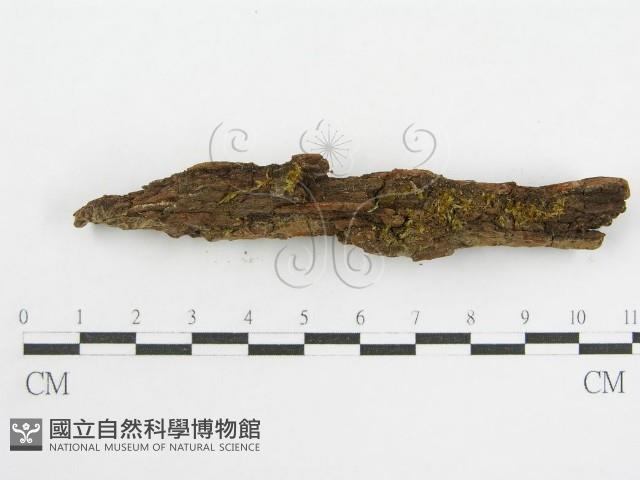 登錄號:F0000959藏品圖，第10張