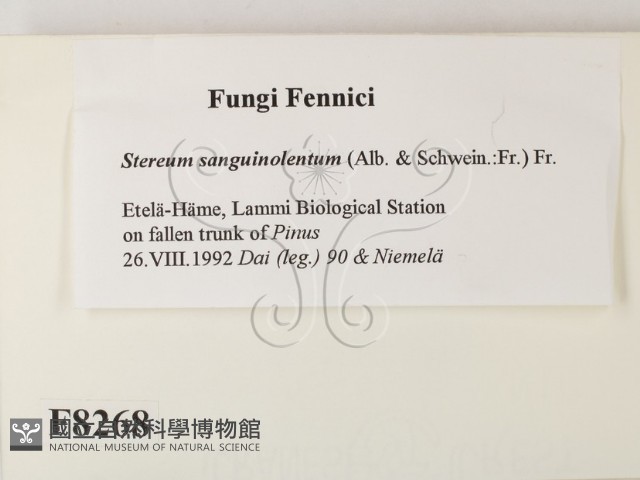 登錄號:F0008268藏品圖，第2張