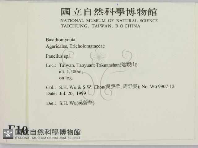 登錄號:F0010268藏品圖，第2張