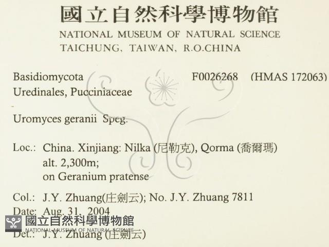 登錄號:F0026268藏品圖，第2張