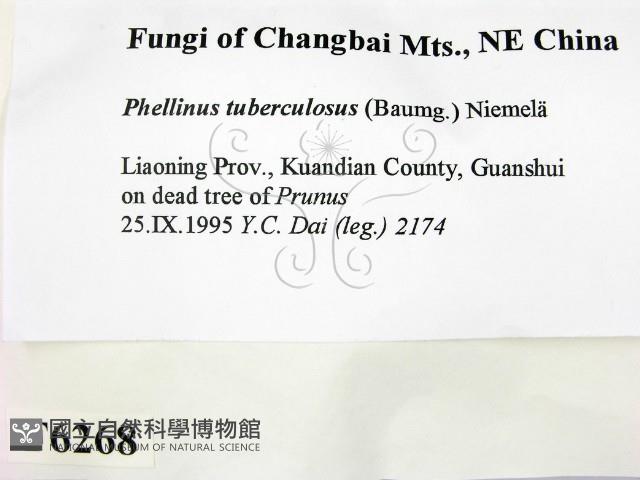 登錄號:F0006268藏品圖，第2張