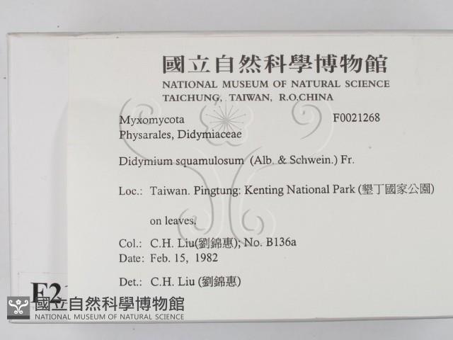 館號:F0021268藏品圖，第2張