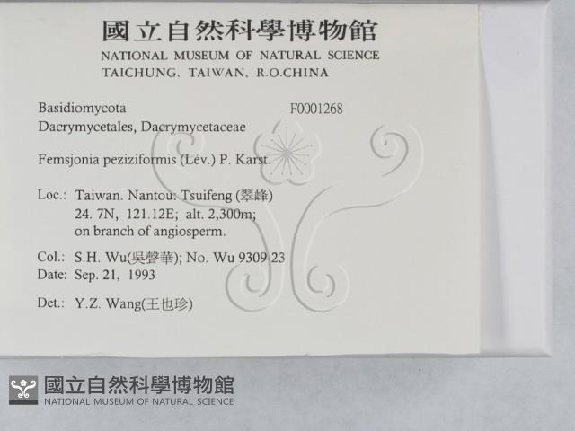 登錄號:F0001268藏品圖，第2張