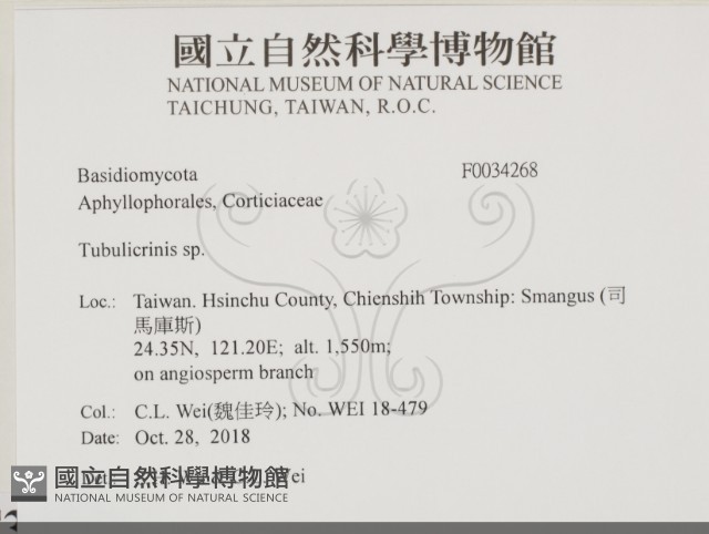 登錄號:F0034268藏品圖，第2張