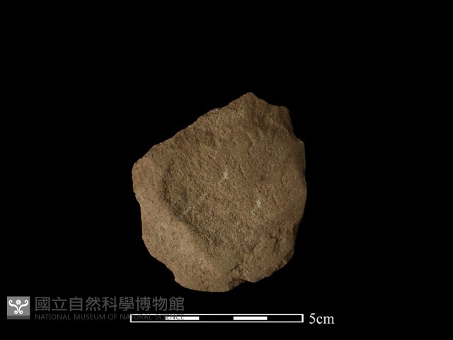 斧鋤形器藏品圖，第2張