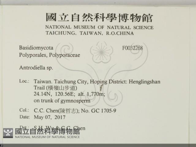 登錄號:F0032268藏品圖，第2張