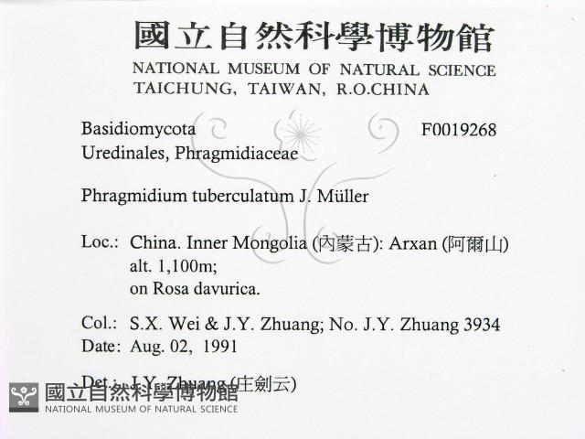 登錄號:F0019268藏品圖，第2張