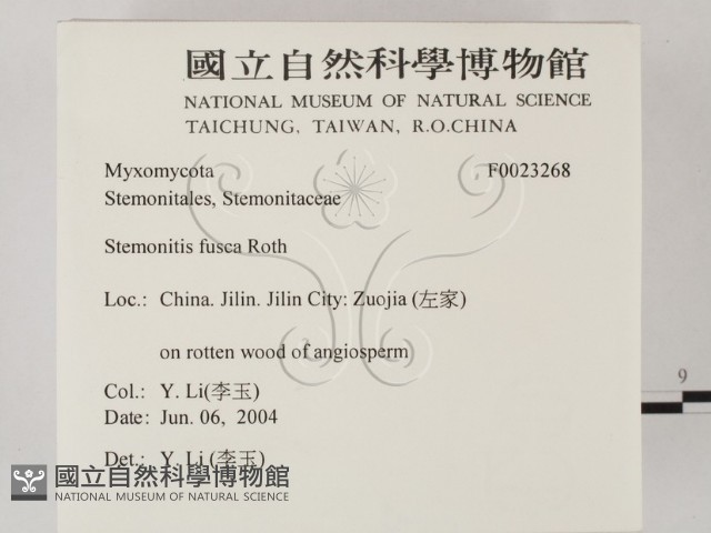 登錄號:F0023268藏品圖，第2張