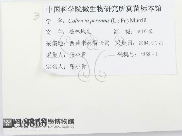 登錄號:F0018868藏品圖，第2張