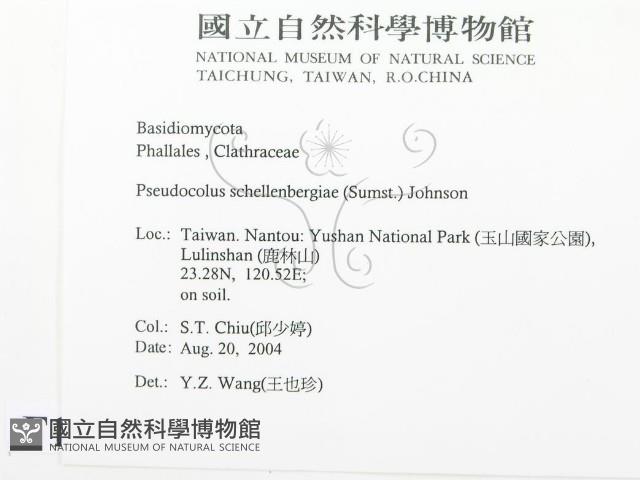 登錄號:F0016868藏品圖，第2張