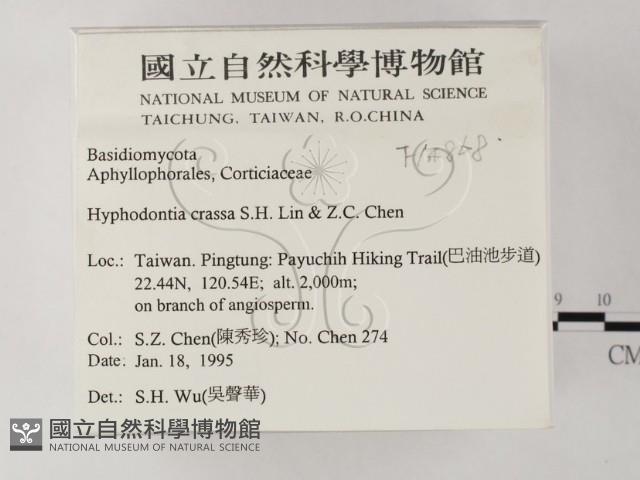 登錄號:F0014868藏品圖，第2張