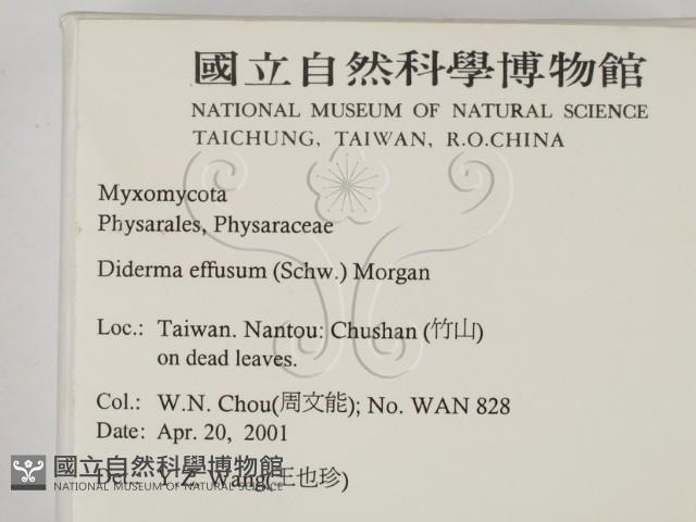 登錄號:F0012868藏品圖，第2張