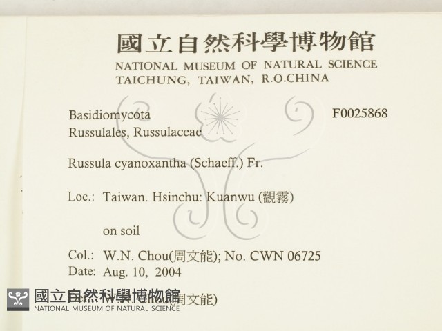 登錄號:F0025868藏品圖，第2張