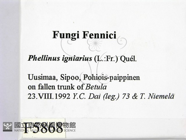 登錄號:F0005868藏品圖，第2張