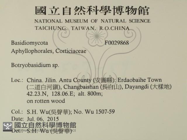 登錄號:F0029868藏品圖，第2張