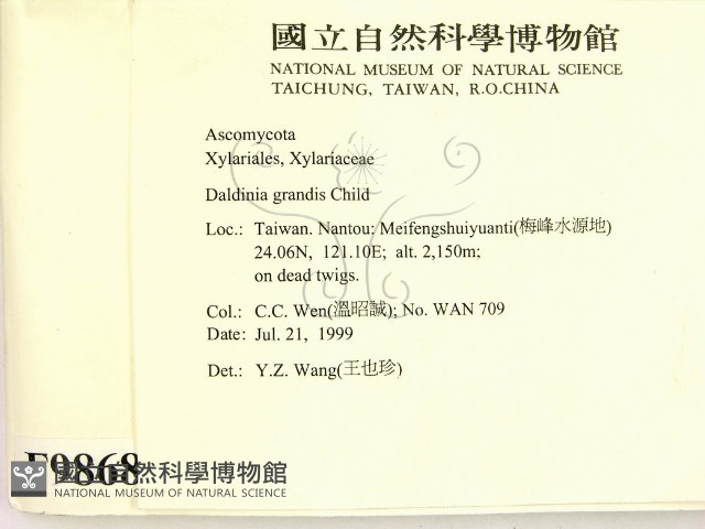 登錄號:F0009868藏品圖，第2張