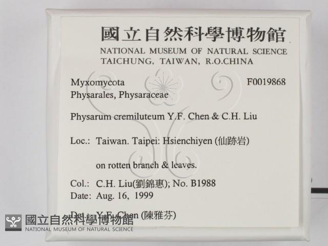 登錄號:F0019868藏品圖，第2張