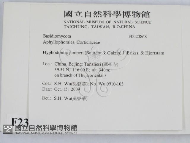 登錄號:F0023868藏品圖，第2張