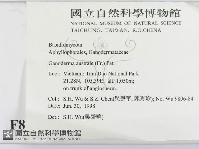 登錄號:F0008968藏品圖，第2張