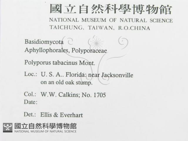 登錄號:F0011968藏品圖，第2張