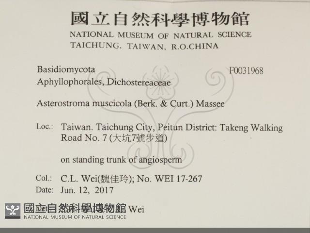 登錄號:F0031968藏品圖，第2張