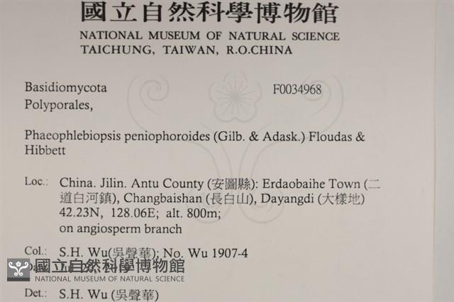 登錄號:F0034968藏品圖，第2張