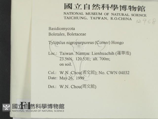 登錄號:F0012968藏品圖，第2張
