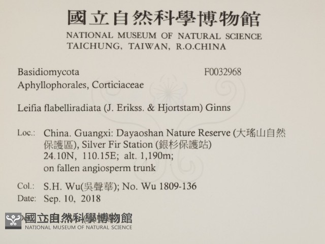 登錄號:F0032968藏品圖，第2張