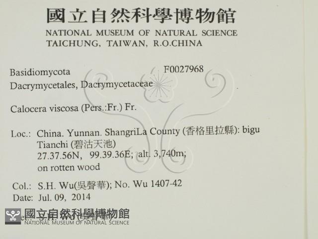 登錄號:F0027968藏品圖，第2張