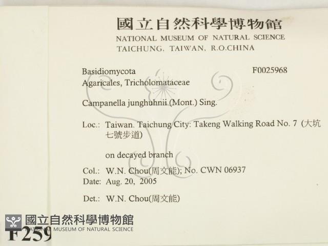 登錄號:F0025968藏品圖，第2張