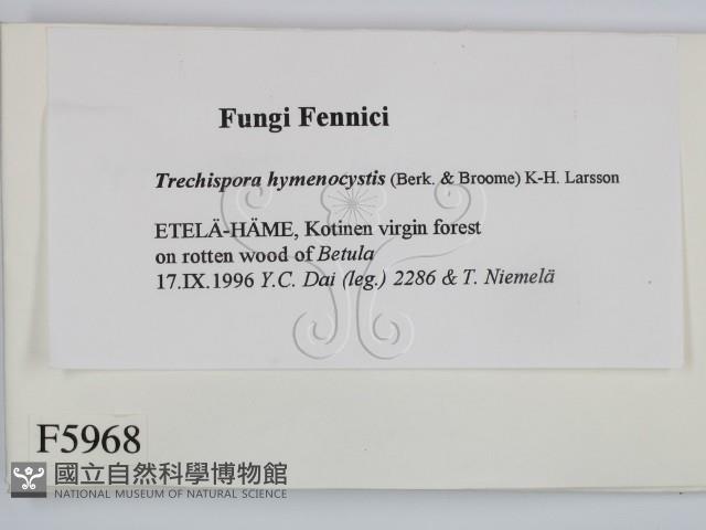 登錄號:F0005968藏品圖，第2張