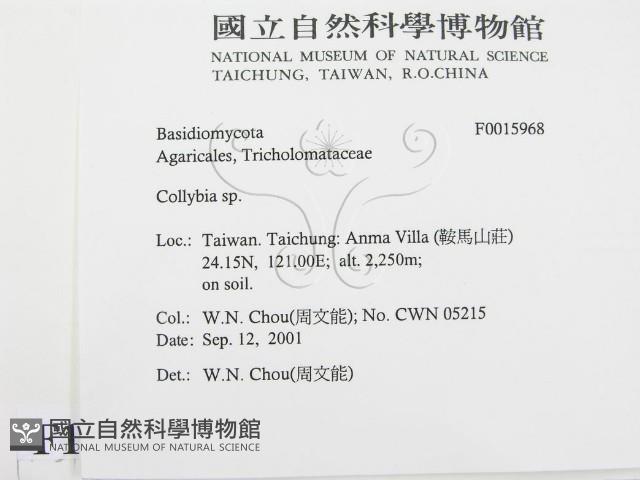 登錄號:F0015968藏品圖，第2張