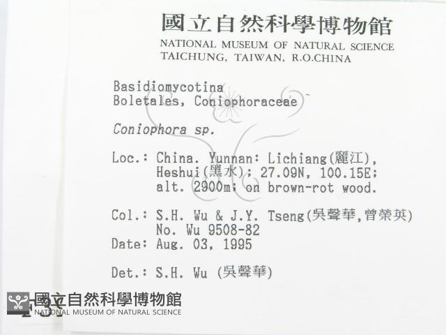 登錄號:F0003968藏品圖，第2張