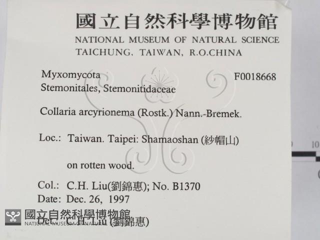 登錄號:F0018668藏品圖，第2張