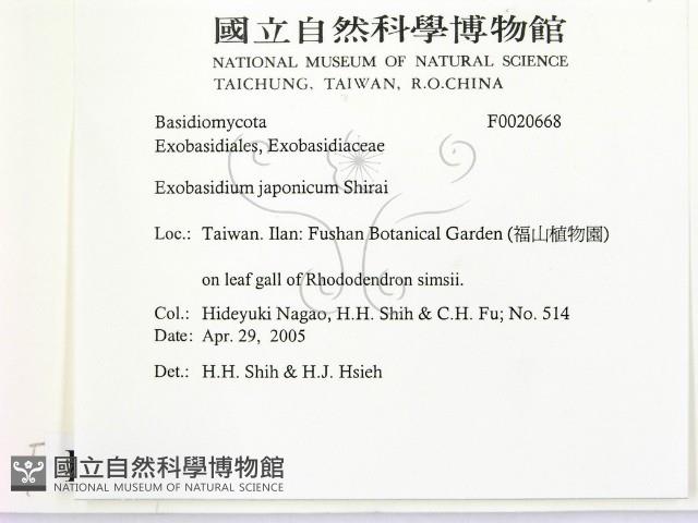 登錄號:F0020668藏品圖，第2張