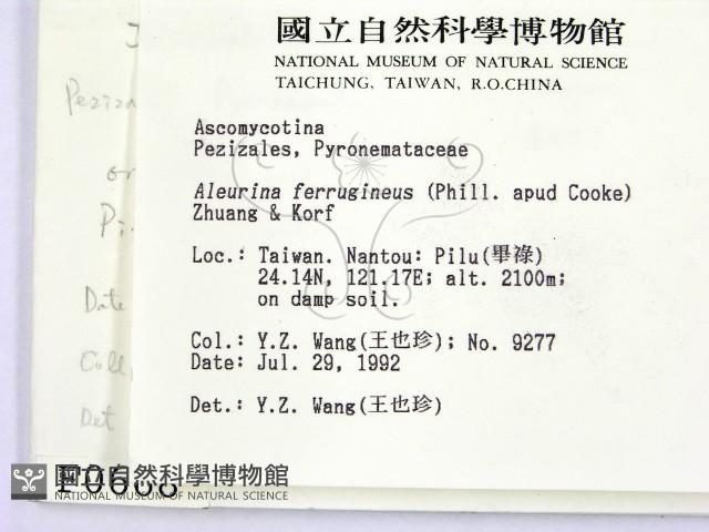 登錄號:F0000668藏品圖，第2張